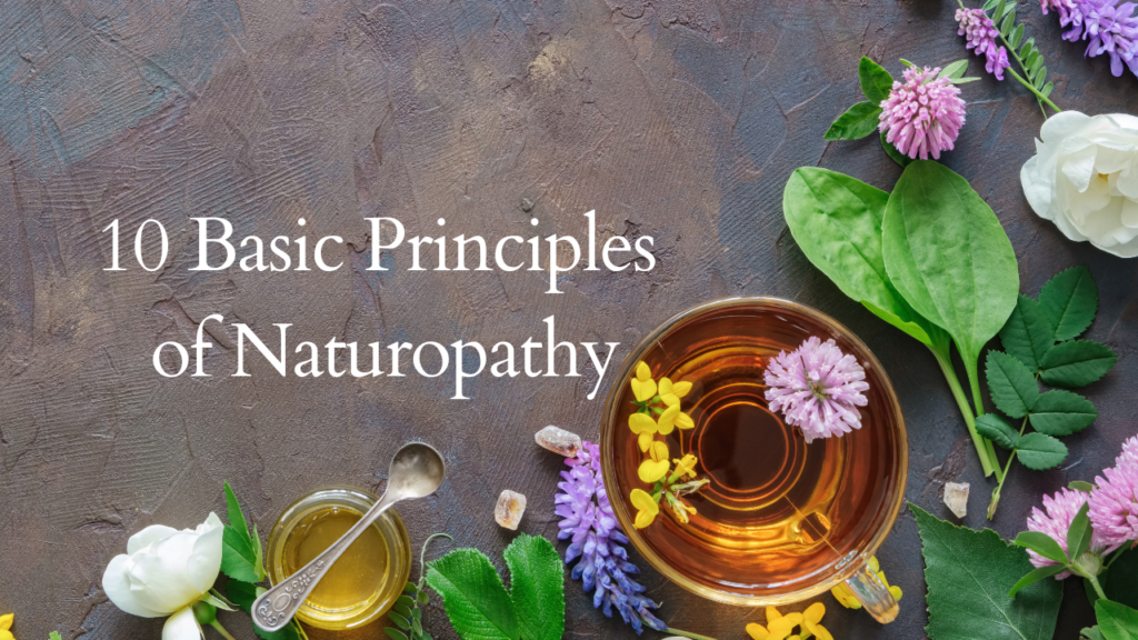 10 Basic Principles of Naturopathy