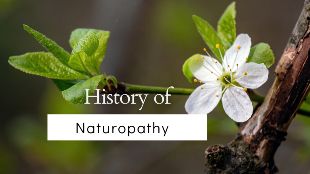 History of Naturopathy