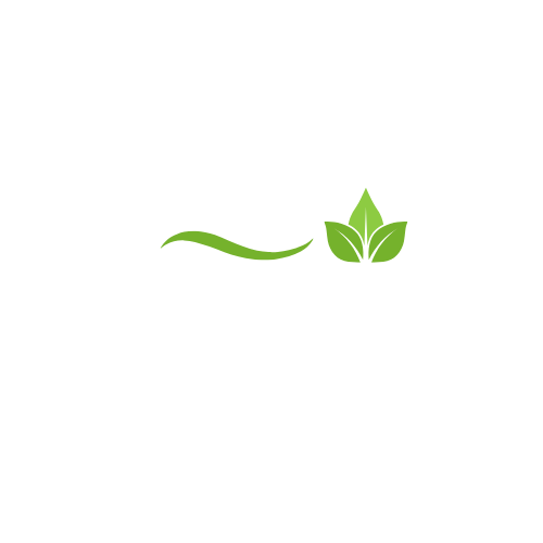 Vision Sankalp