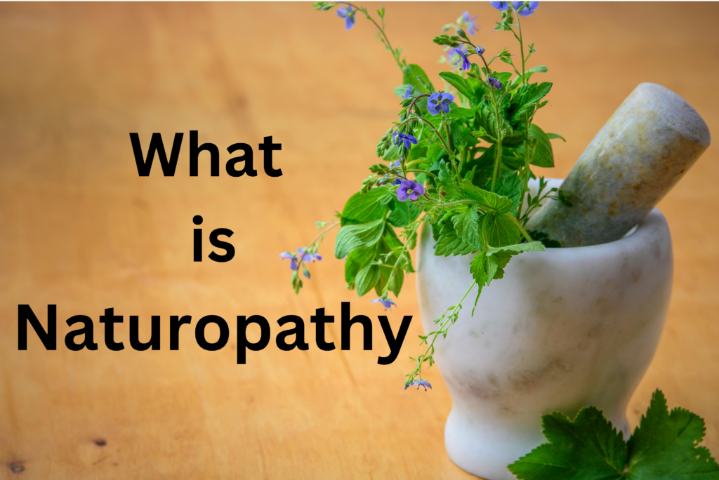 What is Naturopathy